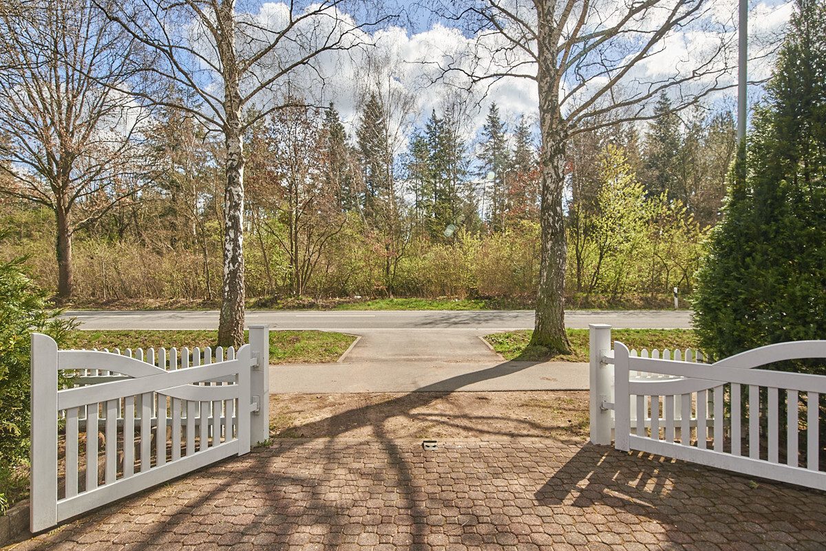 Inviting driveway