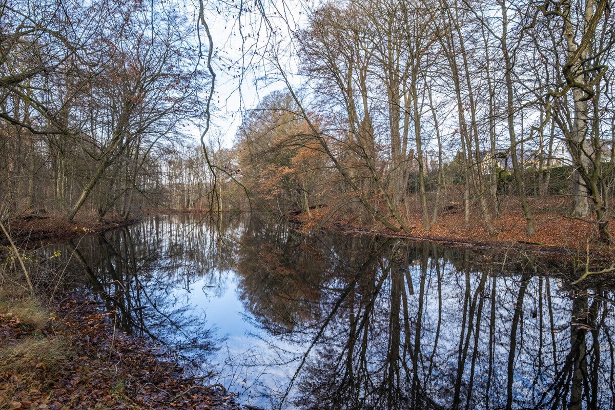 Nature reserve directly at the end of the plot