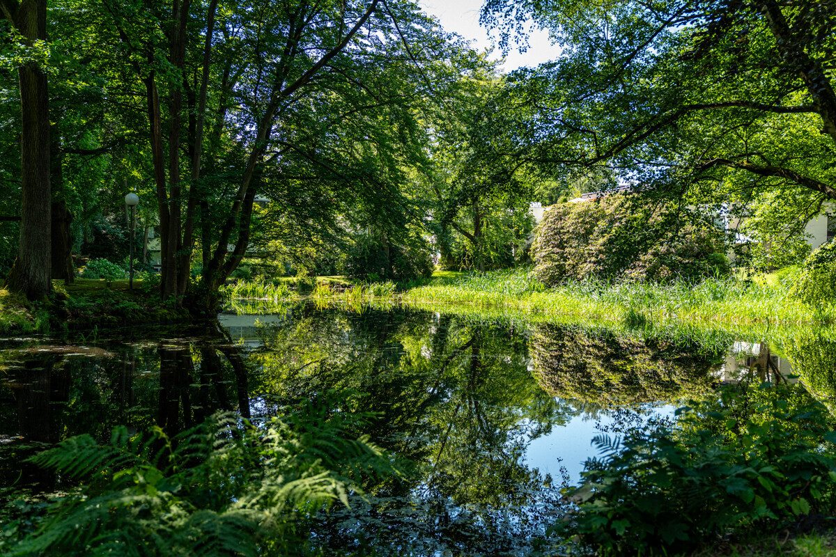 Teich