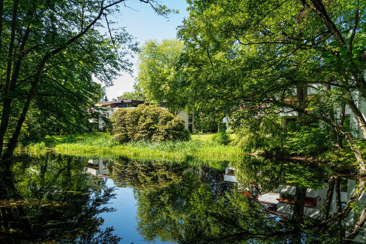 Teich