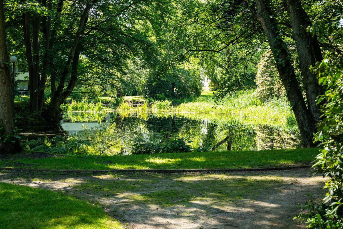Teich